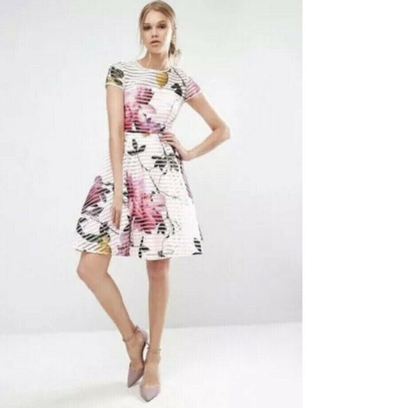 Ted Baker Dresses & Skirts - Camari Citrus Bloom Mesh Stripe Fit & Flare 10